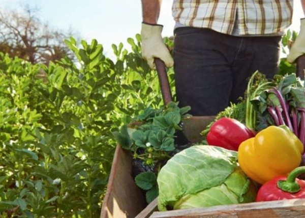 agricultura familiar